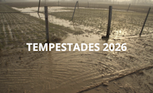 Catástrofes Naturais